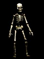 skeleton41.gif
